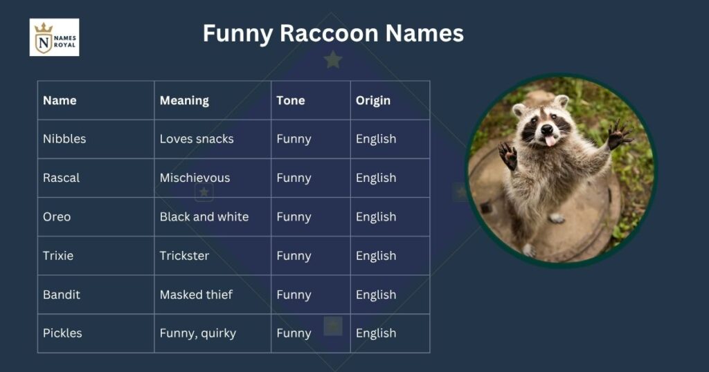 names for a raccoon