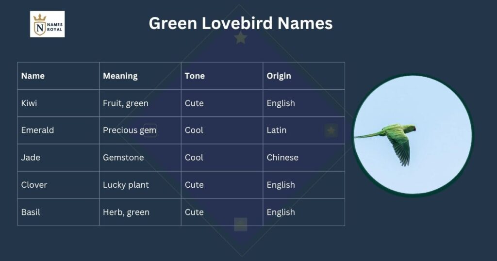 love birds name male and female