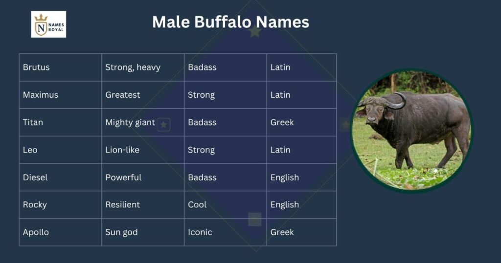 buffalo names