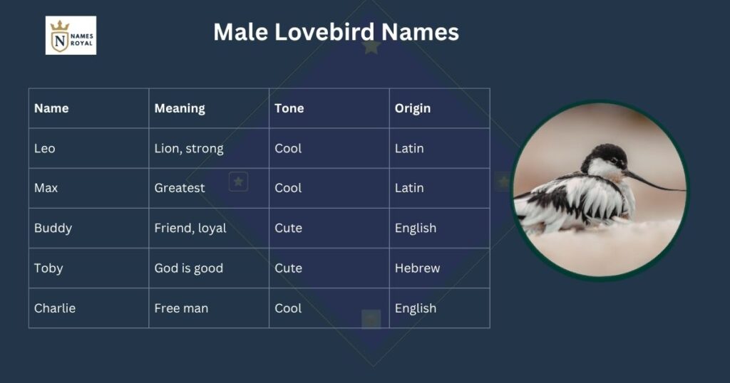 love birds couple name