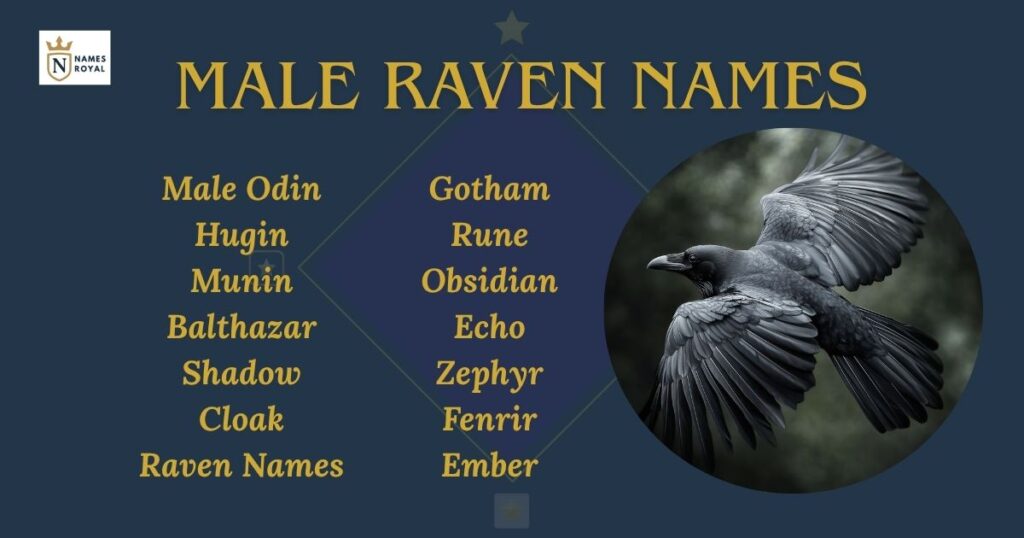 Male Raven Names