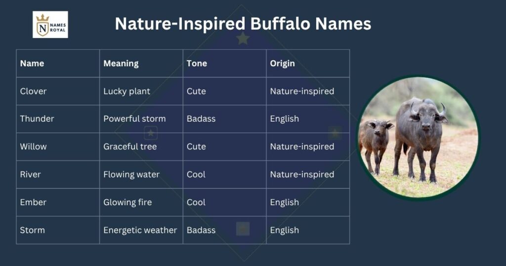 buffalo female name