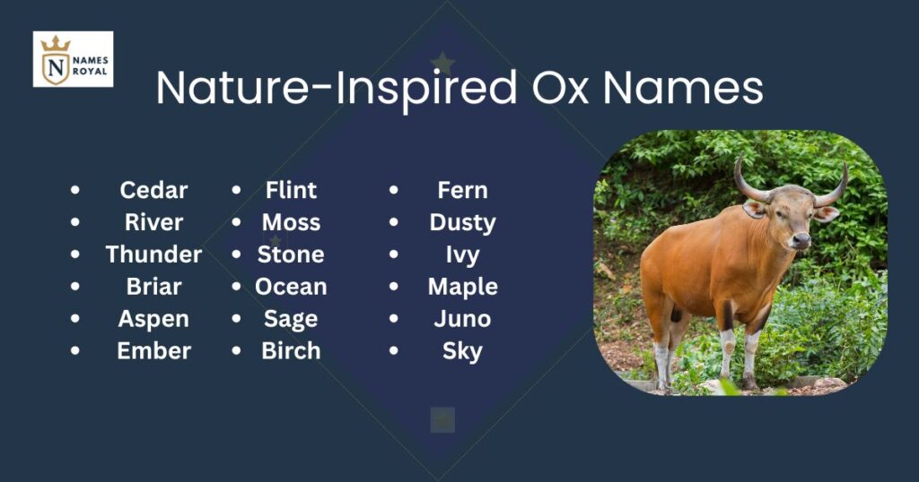 Nature-Inspired Ox Names
