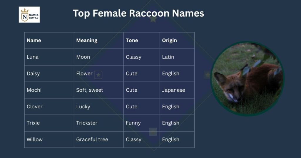 racoon names