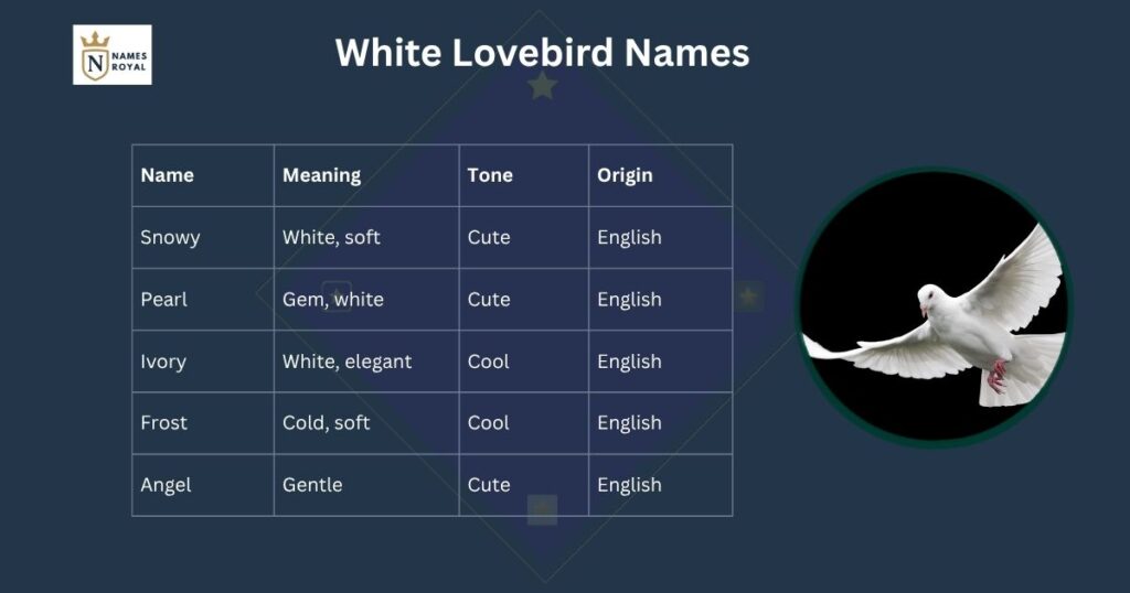 love birds name
